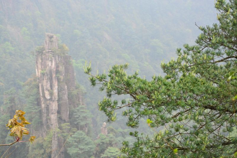 郴州莽山众泰视频衡阳福海a视频二日游奶车友哥么图片
